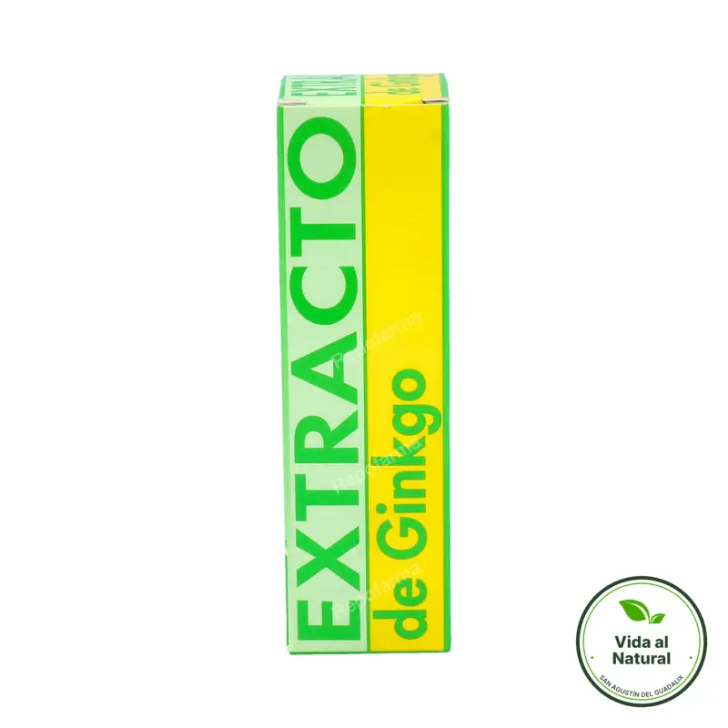 Extracto ginkgo biloba 31 ml, Equisalud