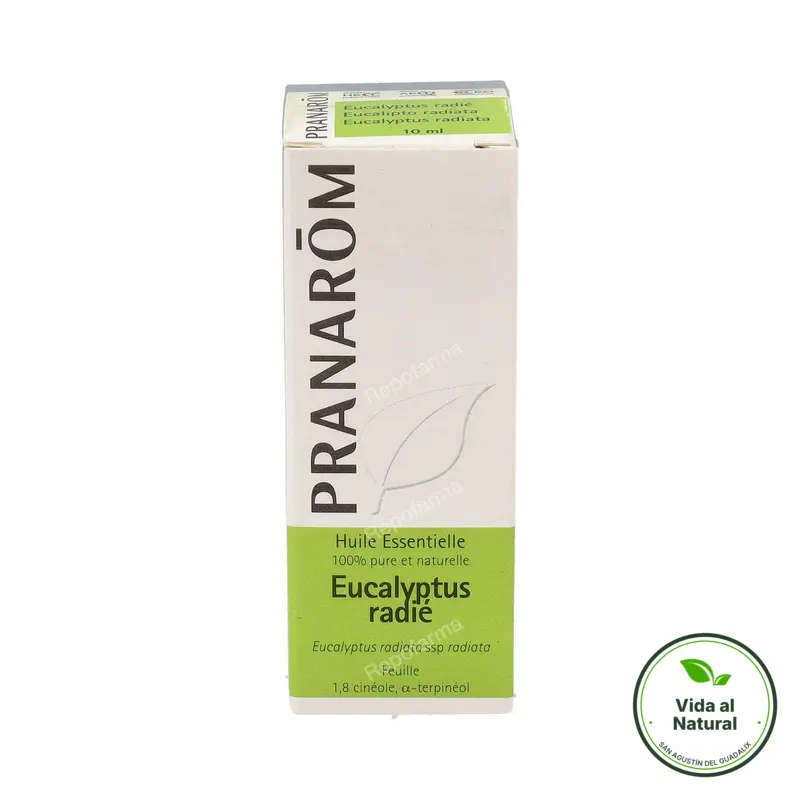 Aceite esencial de eucalipto radiata 10 ml, Pranarom