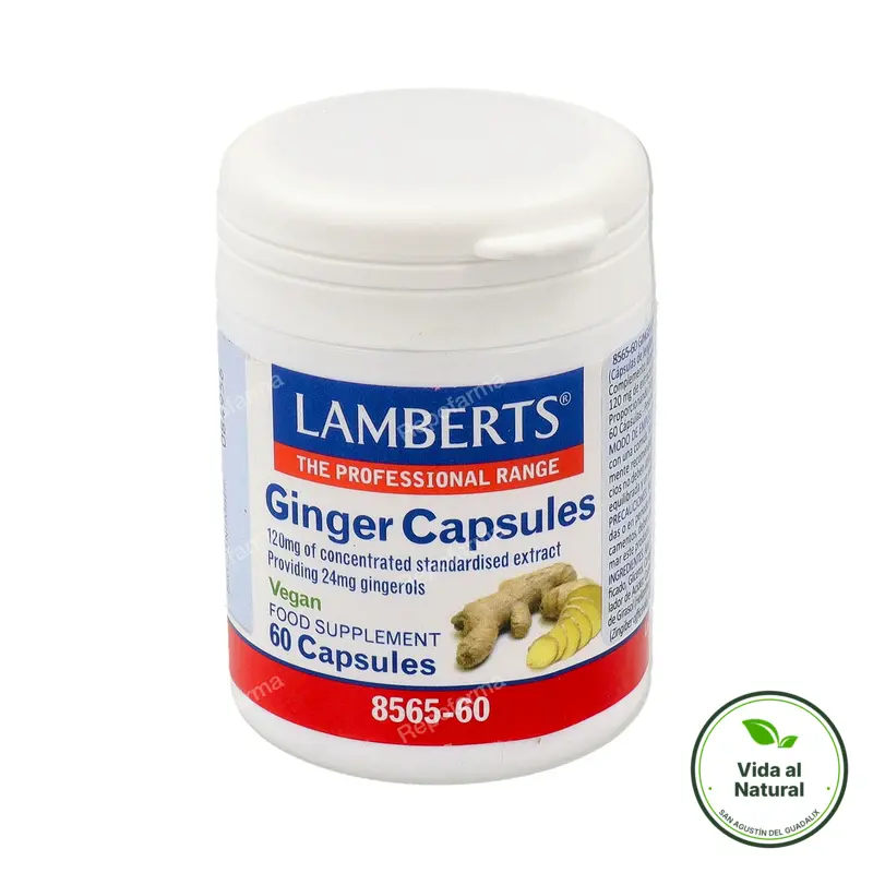 Jengibre 60 cápsulas, Lamberts