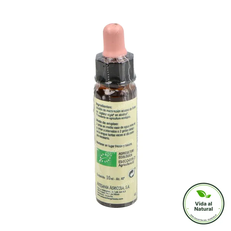 Flor 33 walnut nog 10 ml, Plantis