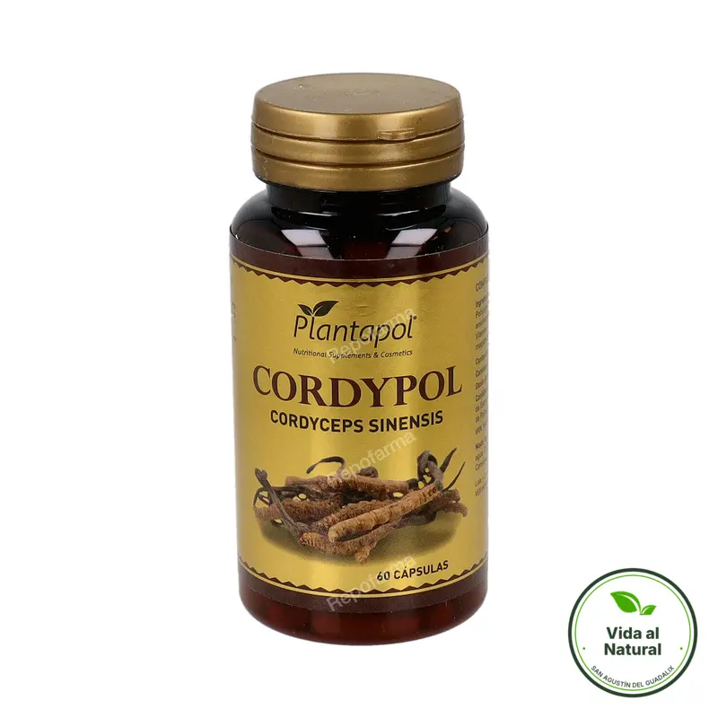 Cordypol cordyceps + vit c 60 cápsulas, Plantapol