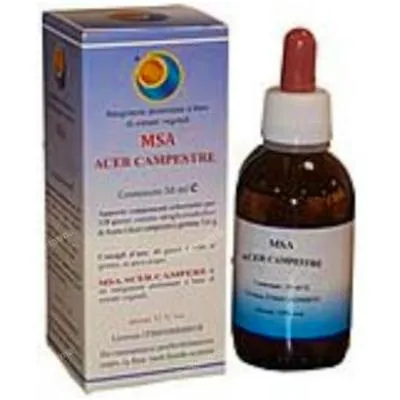 Msa acer campestre yemas 50 ml, Herboplanet