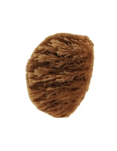 Esponja grass, Naturaspa
