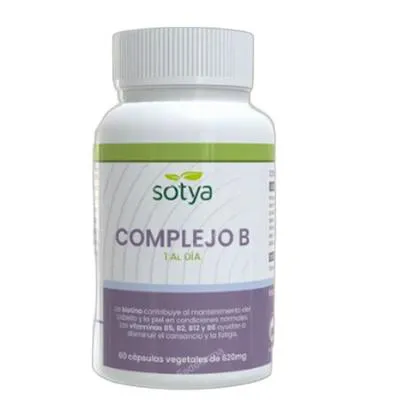 Complejo B 1 al día 600 mg CAPS 60 uds., Sotya