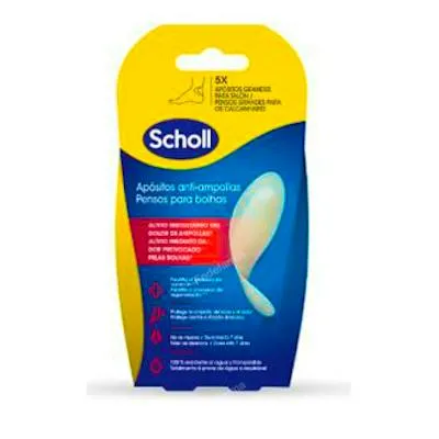 Große Blasenpflaster, Scholl