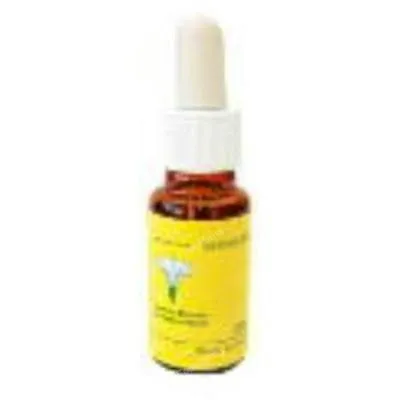 E. f. mediterraneo pine E. F. Mediterraneo 20 ml, E.f.mediterraneo