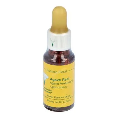 E. f. mediterraneo agave royal E. F. Mediterraneo 20 ml, E.f.mediterraneo