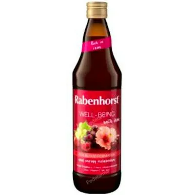 Well-being sap 750 ml, Rabenhorst