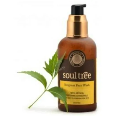 Gel limpiador facial nutglass y neem 120 ml, Soultree