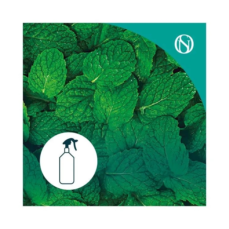 Désodorisant en spray Menthe, Aromatica.es
