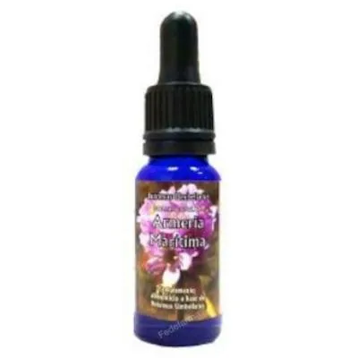 Armeria maritima esencia triunidad 30 ml, Phytovit
