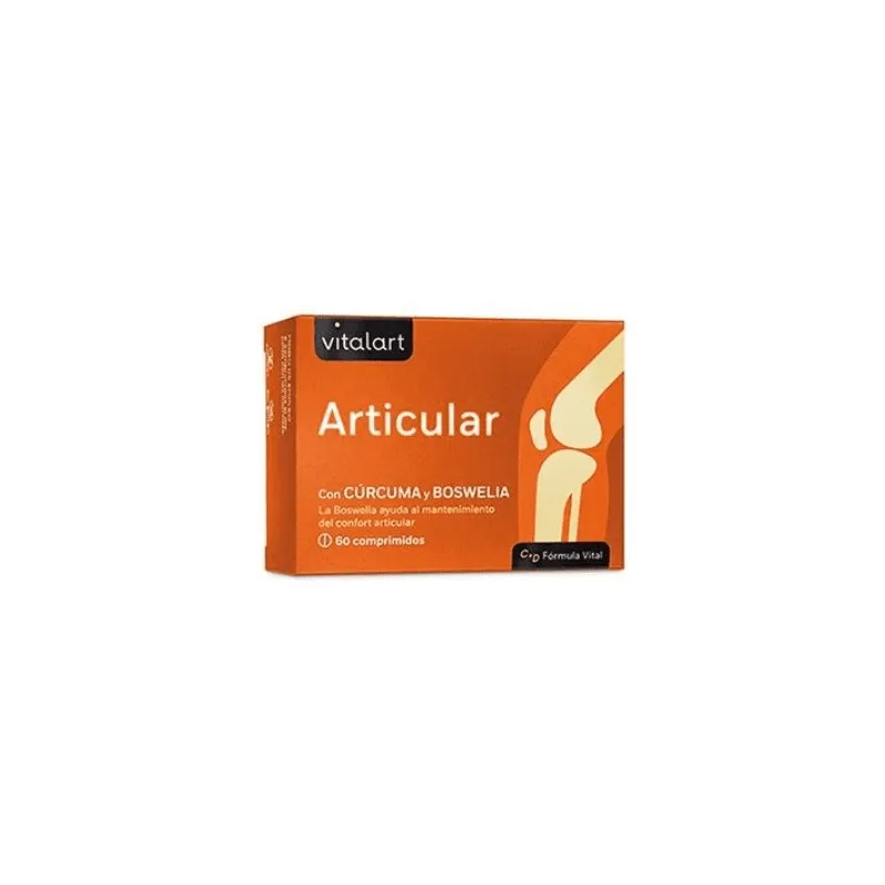 Articolare n. import 60 compresse, Vitalart