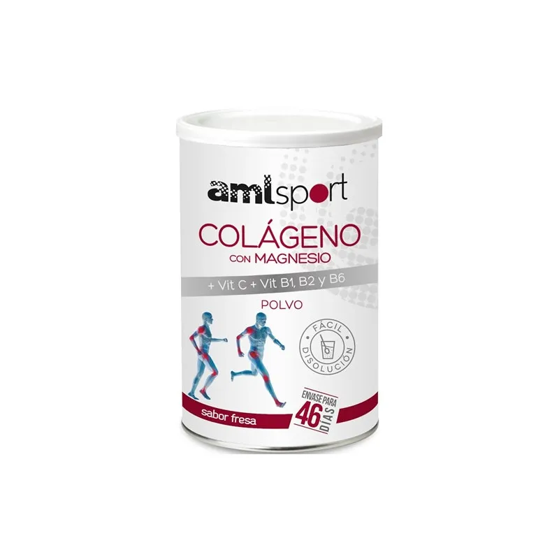 Amisport colágeno+mg+b1,b2,b6 amj 350 g, Ana Maria Lajusticia