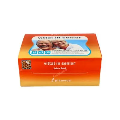Vital in senior pappa reale 20 fiale, Plameca
