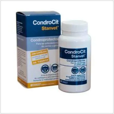 Stanvet condrocit vet 60 comprimidos, Stangest Vet