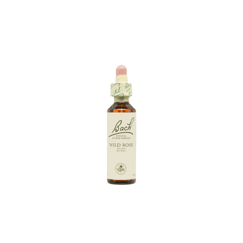 Bach n 37 Wildrose Rosa silvestre 20 ml, Bach Rescue