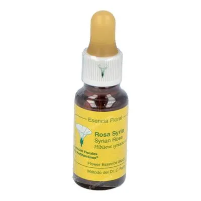 E. f. mediterraneo rose de Syrie E. F. Mediterraneo 20 ml, E.f.mediterraneo