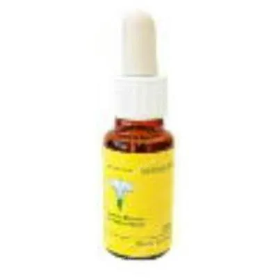 E. f. mediterraneo willow E. F. Mediterraneo 20 ml, E.f.mediterraneo