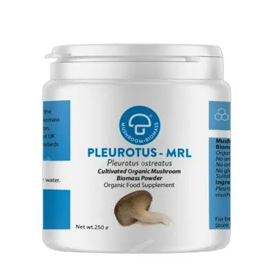 Pleurotus-mrl en polvo 250 g, Atena