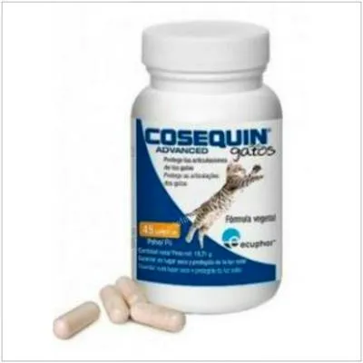 Cosequin advanced gatto vet 45 capsule, Ecuphar Vet