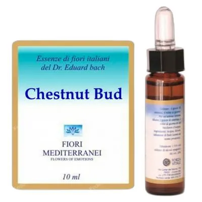 Fm chestnut bud (brote de castaño) 10 ml, Forza Vitale