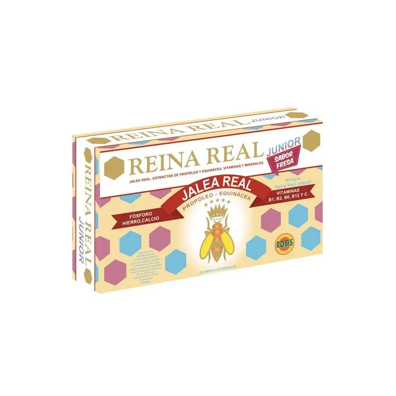 Reina real junior amp. robi, Robis