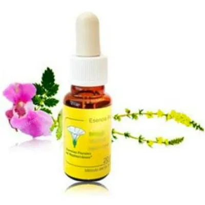 E. f. mediterraneo lotus E. F. Mediterraneo 20 ml, E.f.mediterraneo