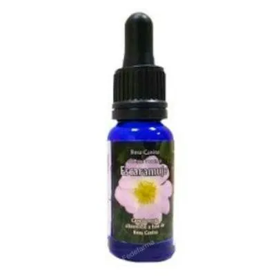 Escaramujo esencia triunidad 30 ml, Phytovit