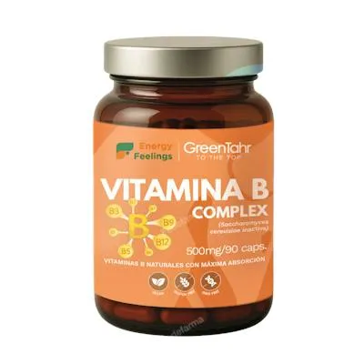 Vita B biodisponible 90 cápsulas, Energy Feelings