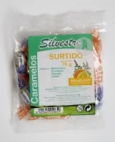 Assortiment snoepjes suikervrij 70 g, Silvestre