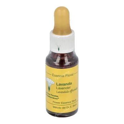 E. f. mediterraneo lavanda E. F. Mediterraneo 20 ml, E.f.mediterraneo