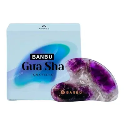 Guasha amatista, Banbu