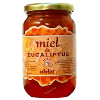 Miel de eucaliptus 500 g, Mielar