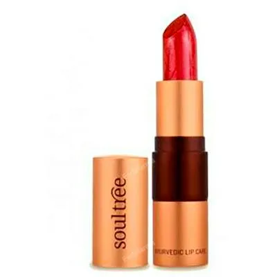 Barra de labios 5810 Java Brown 4 g, Soultree