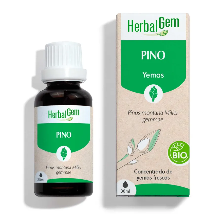 Pino BIO 30 ml, Herbalgem