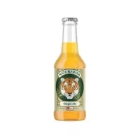 Frisdrank ginger aloe 25cl, Naturfrisk