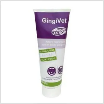 Stangest Veterinaria gingivet pâte dentifrice chiens et chats 100 g, Stangest Vet