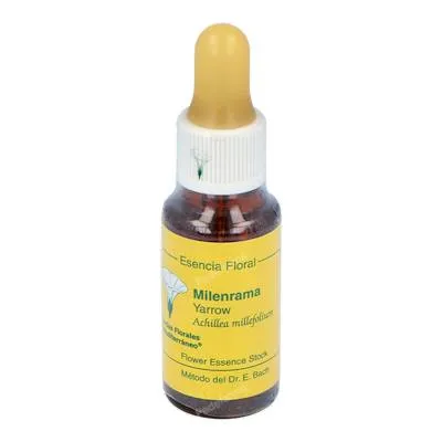 E. f. mediterraneo milenrama E. F. Mediterraneo 20 ml, E.f.mediterraneo