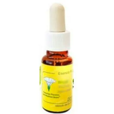 E. f. mediterraneo courgette E. F. Mediterraneo 20 ml, E.f.mediterraneo