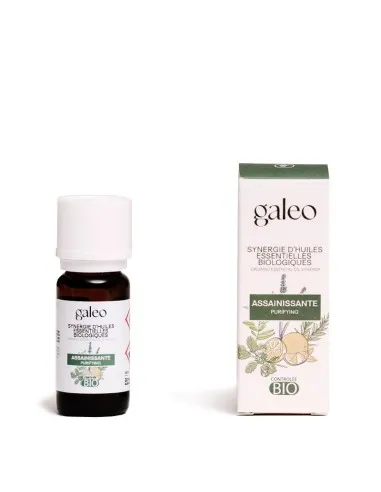 Sinergia purificante aceites esenciales BIO, Galeo