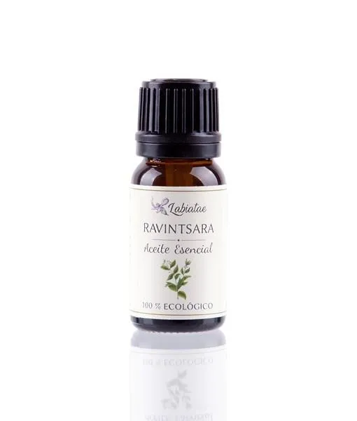 Aceite esencial Ravintsara BIO, Labiatae