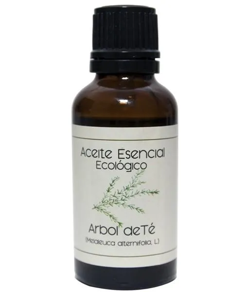Olio essenziale di Albero del Tè (Melaleuca alternifolia) 30 ml, Labiatae