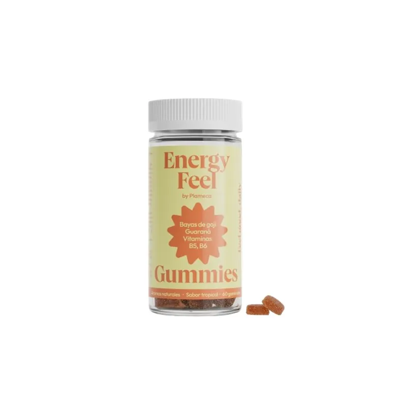 Energy feel gummies 60 gommen, Plameca