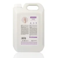 Hand Gel Hidroalcoholico 5 l, Sanilive