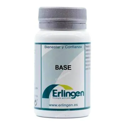 Base 1, Erlingen