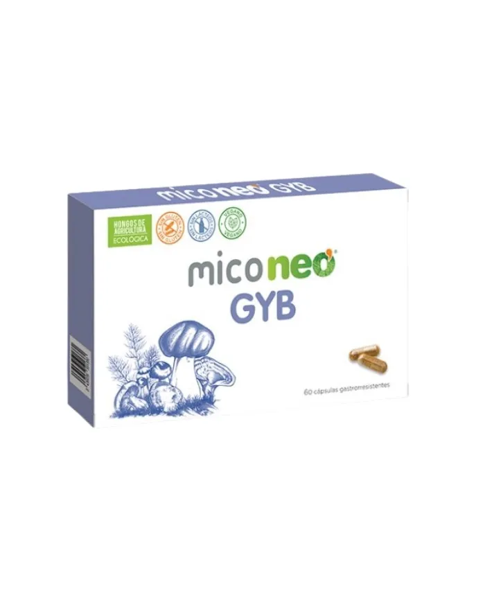 MicoNeo gyb maagsapbestendig 546 mg 60 capsules, Neo