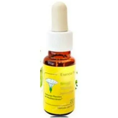E. f. Mediterraneo Passionsblume E. F. Mediterraneo 20 ml, E.f.mediterraneo
