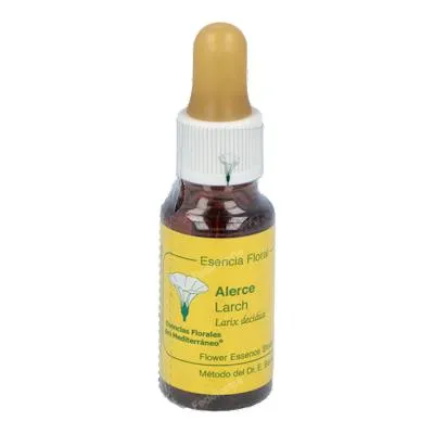 E. f. mediterraneo mélèze E. F. Mediterraneo 20 ml, E.f.mediterraneo