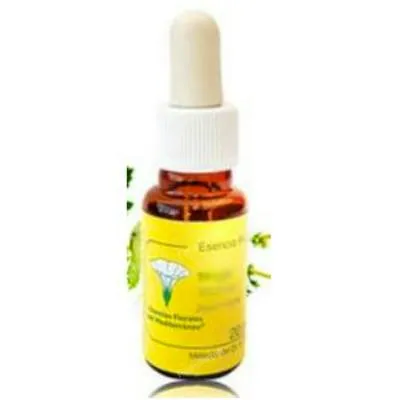 E. f. mediterraneo verge d'or E. F. Mediterraneo 20 ml, E.f.mediterraneo