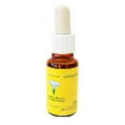 E. f. mediterraneo wild oat E. F. Mediterraneo 20 ml, E.f.mediterraneo